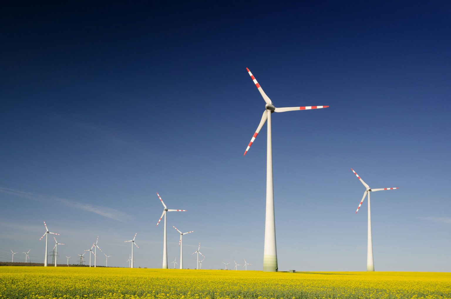 Image of windmills