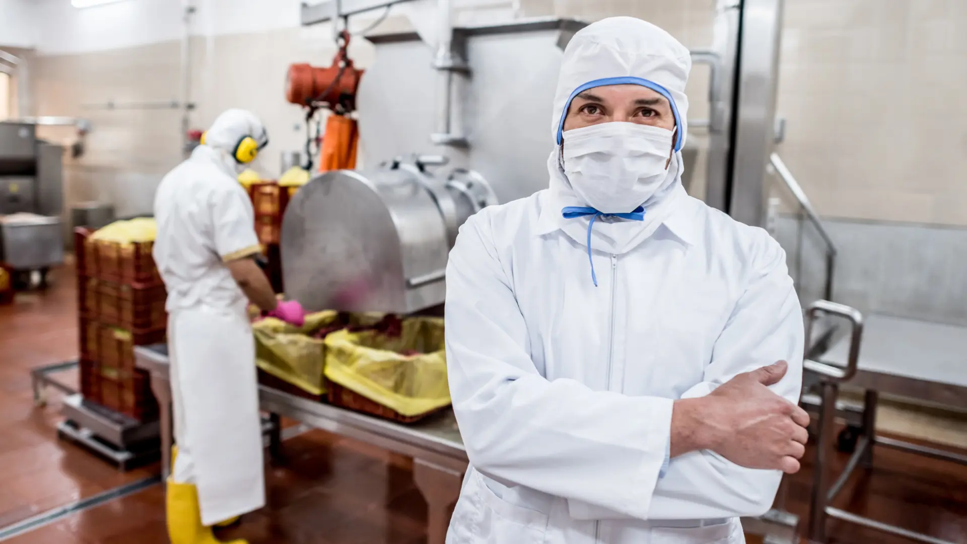 Food processing 2.webp